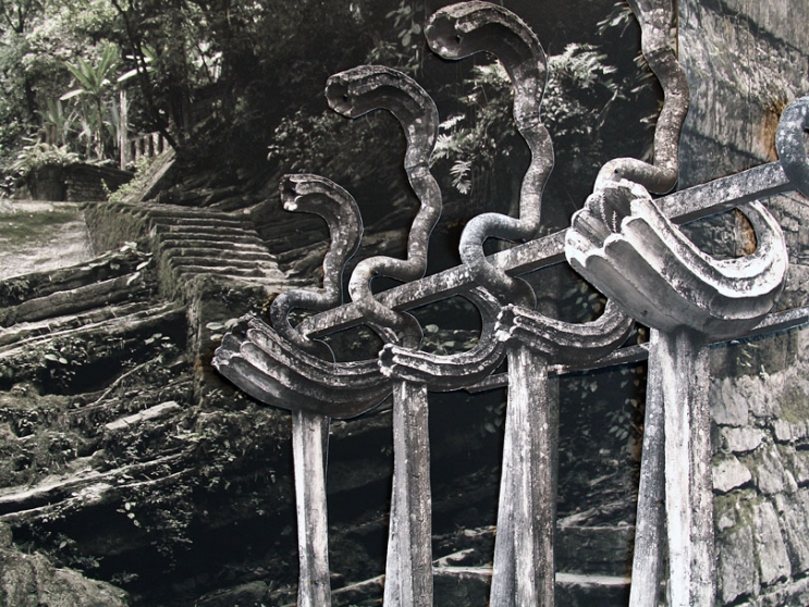 https://git.mirunadragan.com/files/gimgs/th-6_IMG_2470_Xilitla_W.jpg