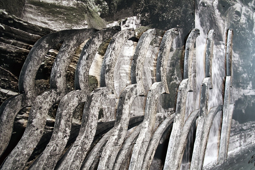 https://git.mirunadragan.com/files/gimgs/th-6_IMG_2473_Xilitla_W.jpg